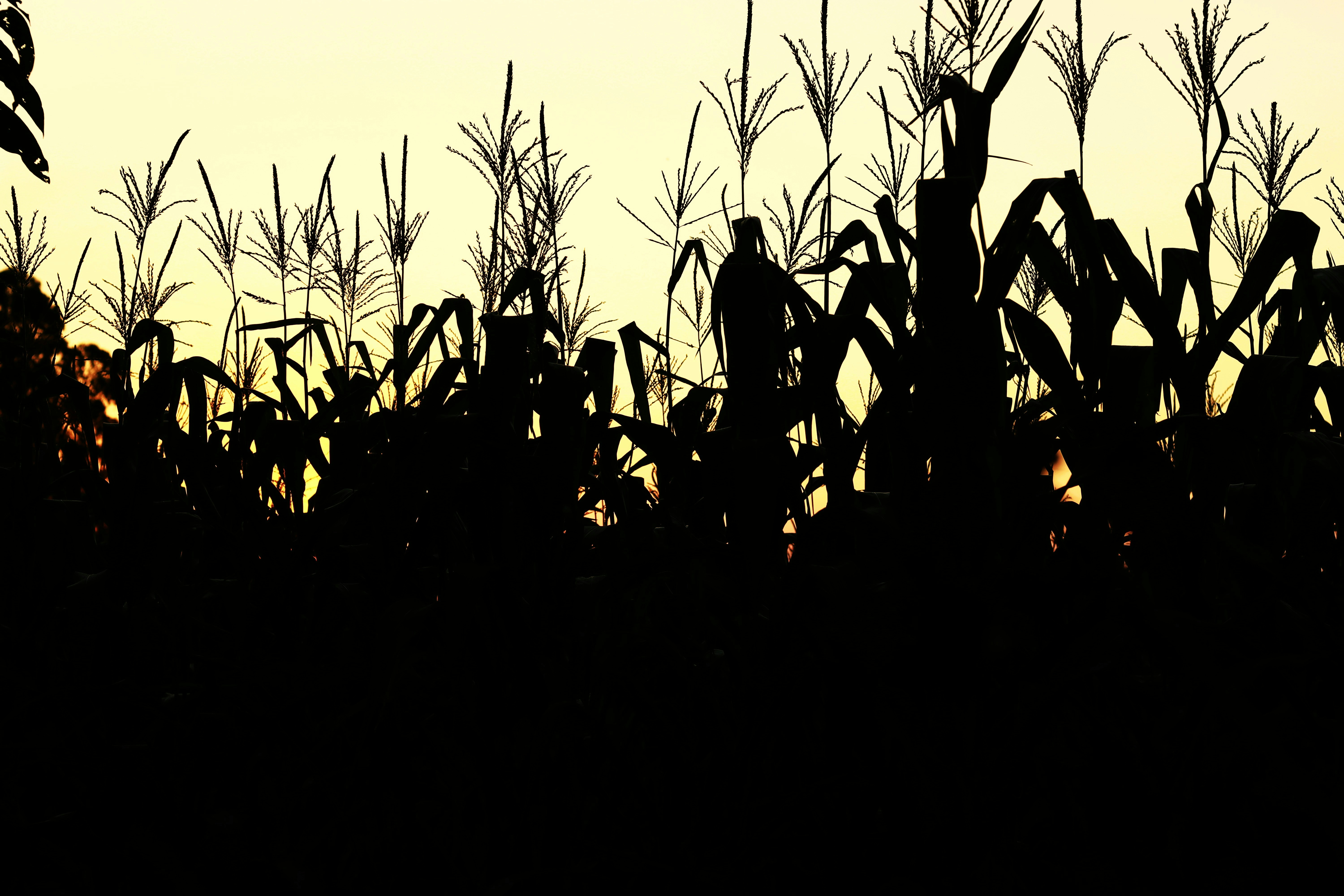 Rolnicy i Gospodarstwa Agroturystyczne